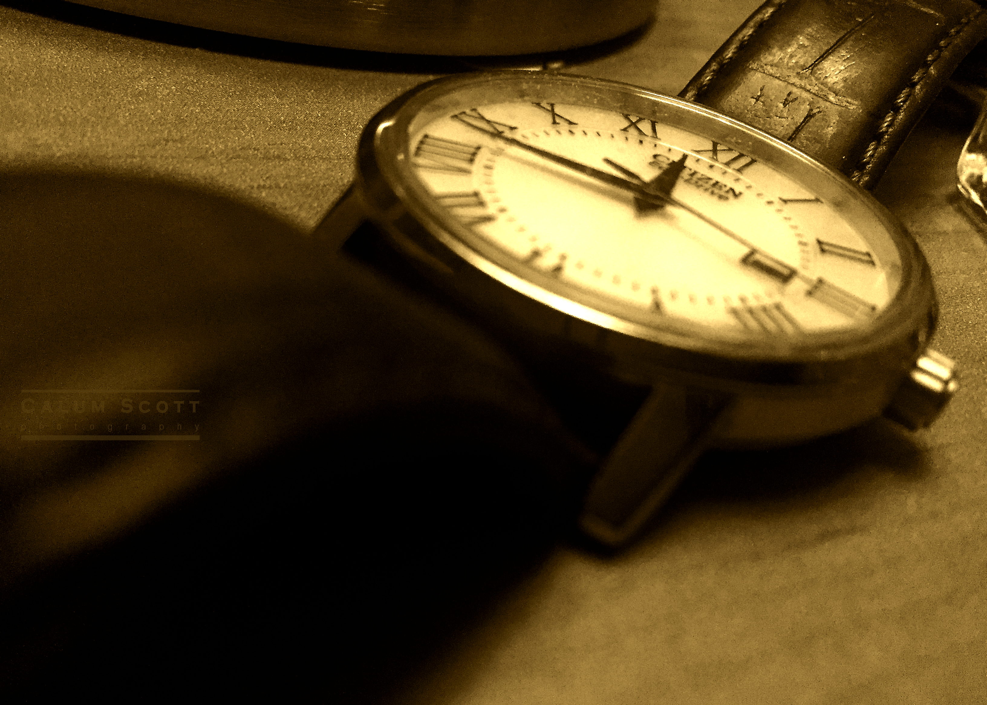 Still Life